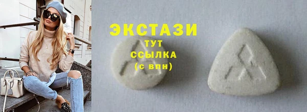 ECSTASY Няндома