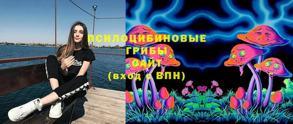 ECSTASY Няндома