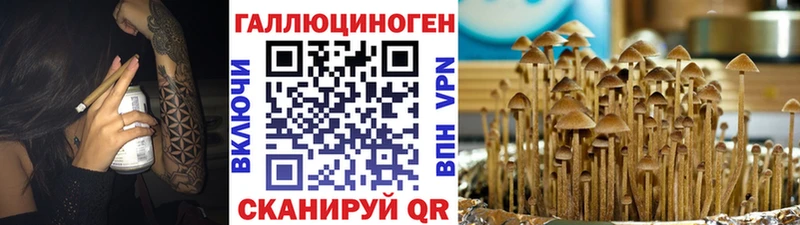 blacksprut онион  Невинномысск  Псилоцибиновые грибы мухоморы 
