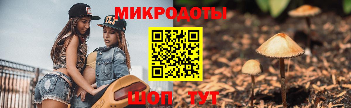 Невинномысск  Галлюциногенные грибы Psilocybine cubensis  Вход с VPN 